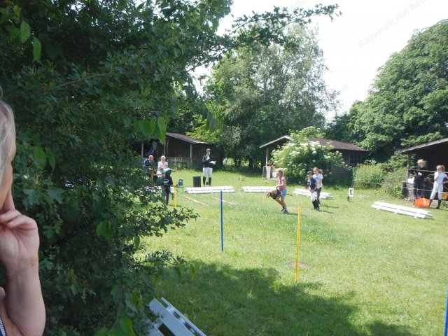 dscn8334
